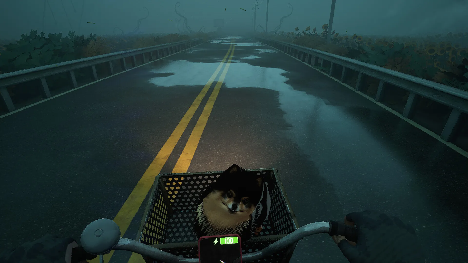 Игра Quite a Ride