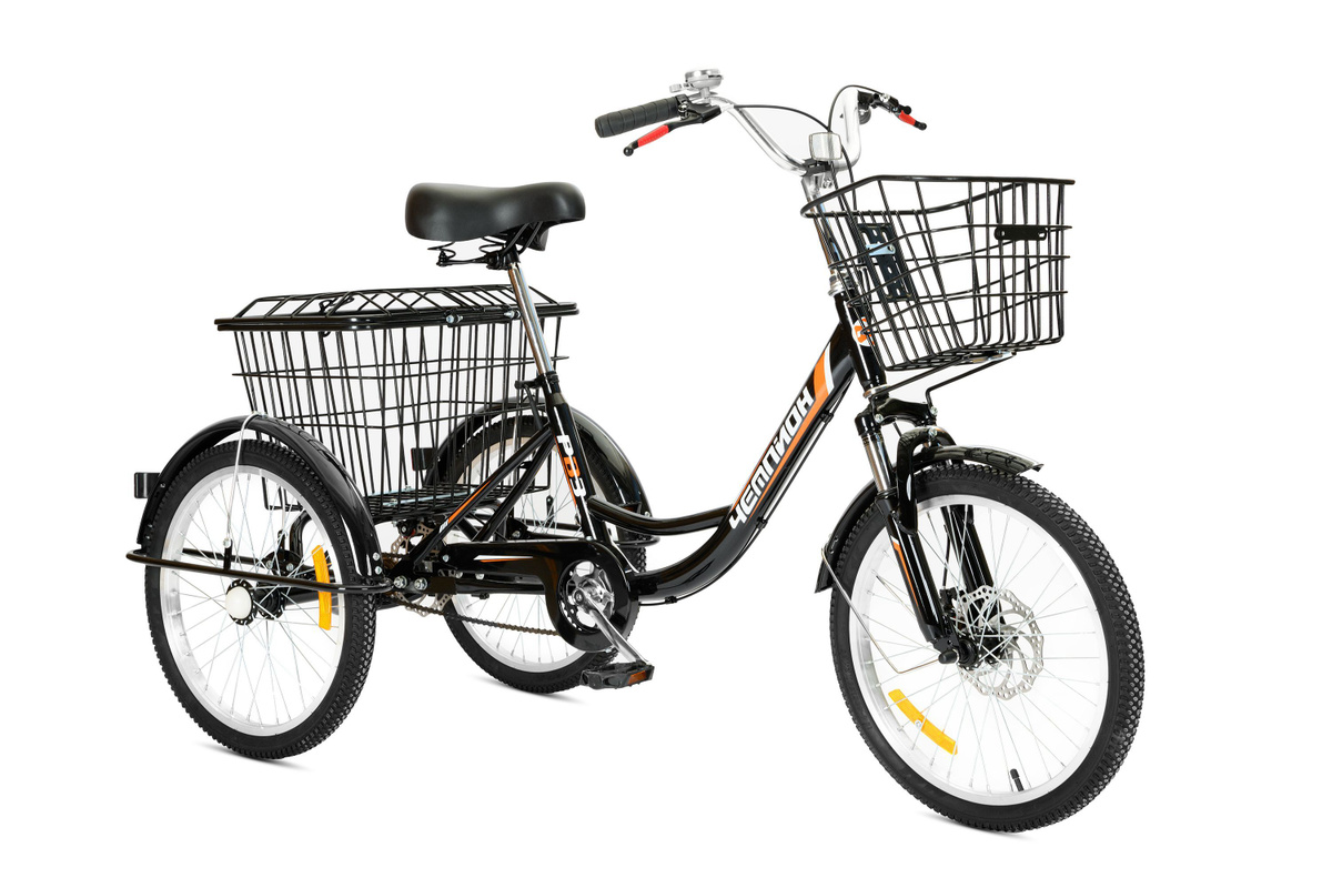 Трехколесный велосипед РВЗ Чемпион 20